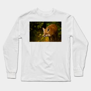 Red Fox Long Sleeve T-Shirt